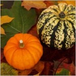 pumpkins and leaves Nov2014 newsletter