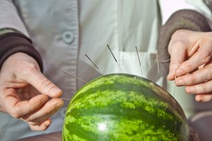 The breakthrough came in giving acupuncture to a watermelon.