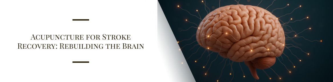 Acupuncture for Stroke Recovery: Rebuilding the Brain
